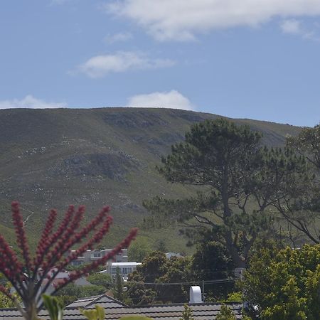 Harmony Place Hotel Hermanus Zewnętrze zdjęcie