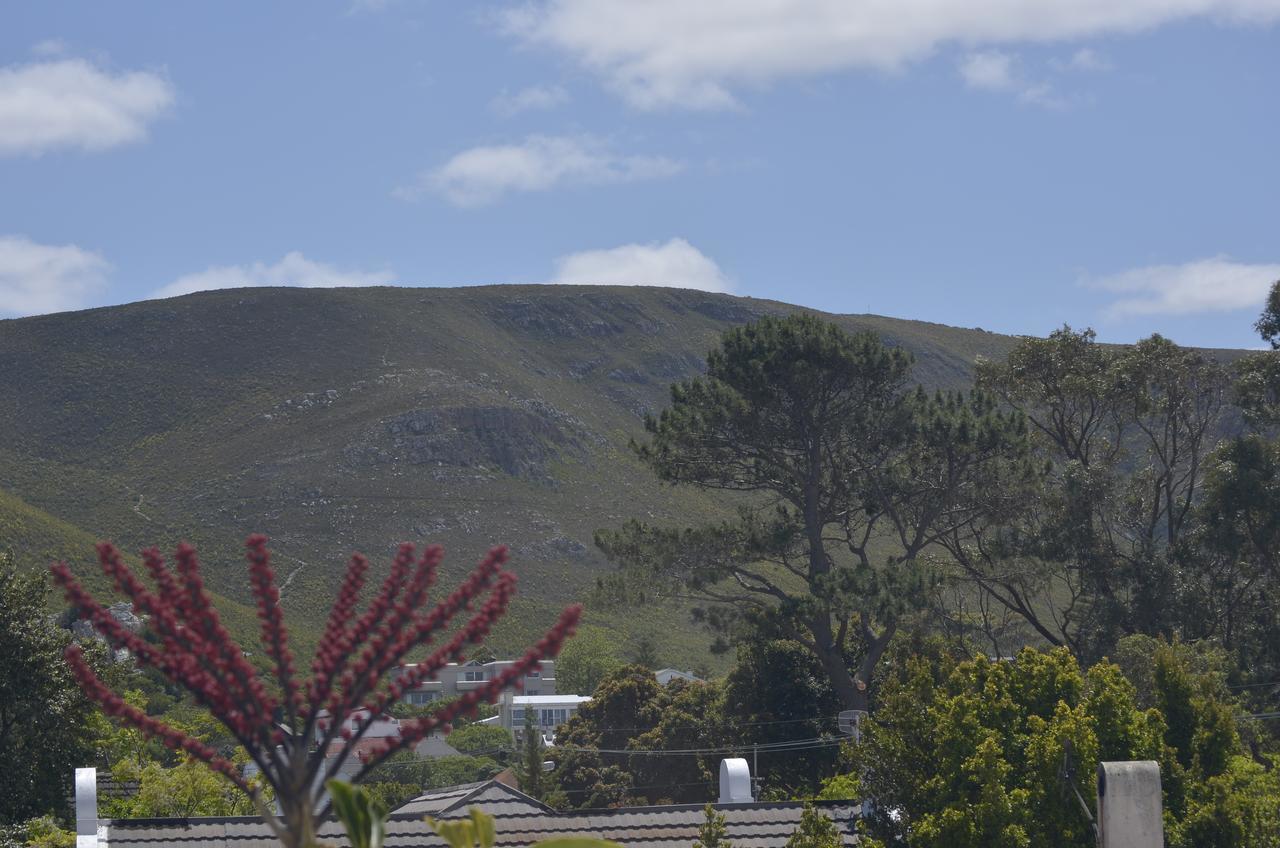 Harmony Place Hotel Hermanus Zewnętrze zdjęcie