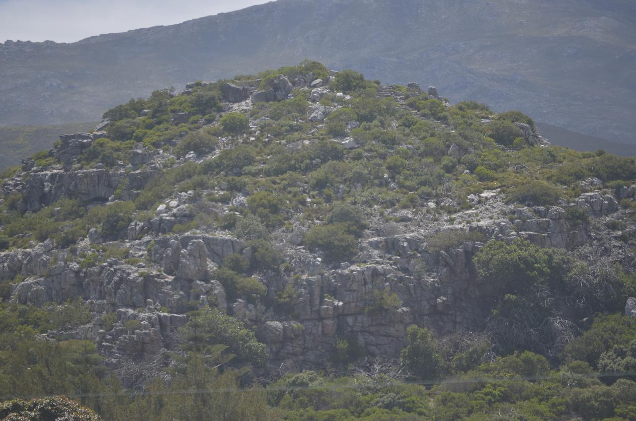 Harmony Place Hotel Hermanus Zewnętrze zdjęcie